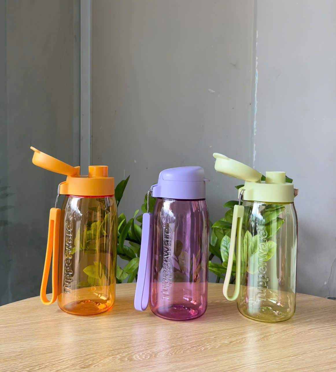 Bình nước Tupperware Lohas Flask 550ml - New Tupperware Chính Hãng