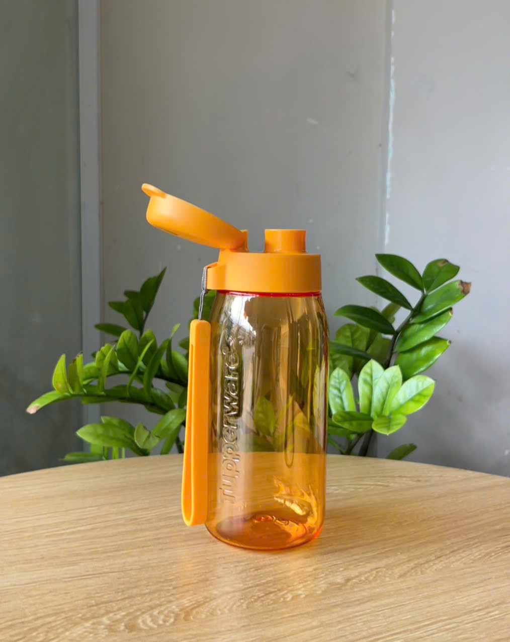 Bình nước Tupperware Lohas Flask 550ml - New Tupperware Chính Hãng