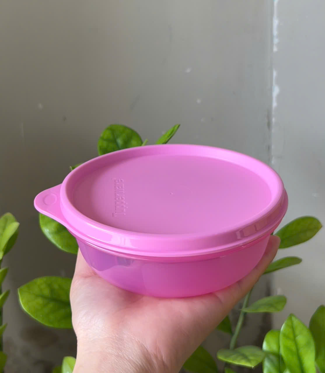 Hộp Mát Tupperware Round bowl 4 Màu 300ml (01 Hộp)