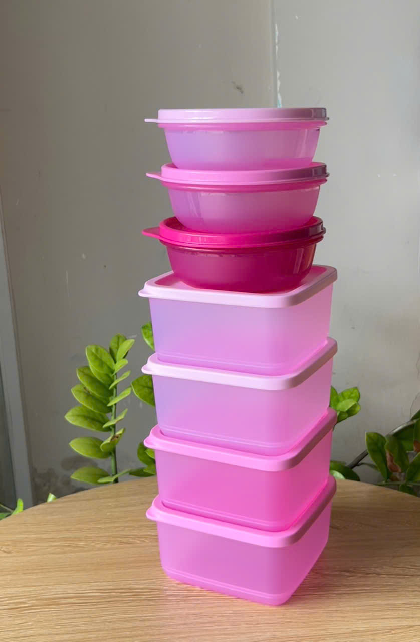 Hộp Trữ Mát Tupperware 650ml
