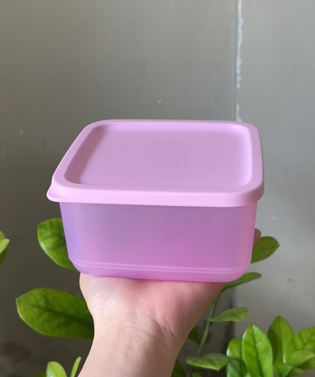 Hộp Trữ Mát Tupperware 650ml