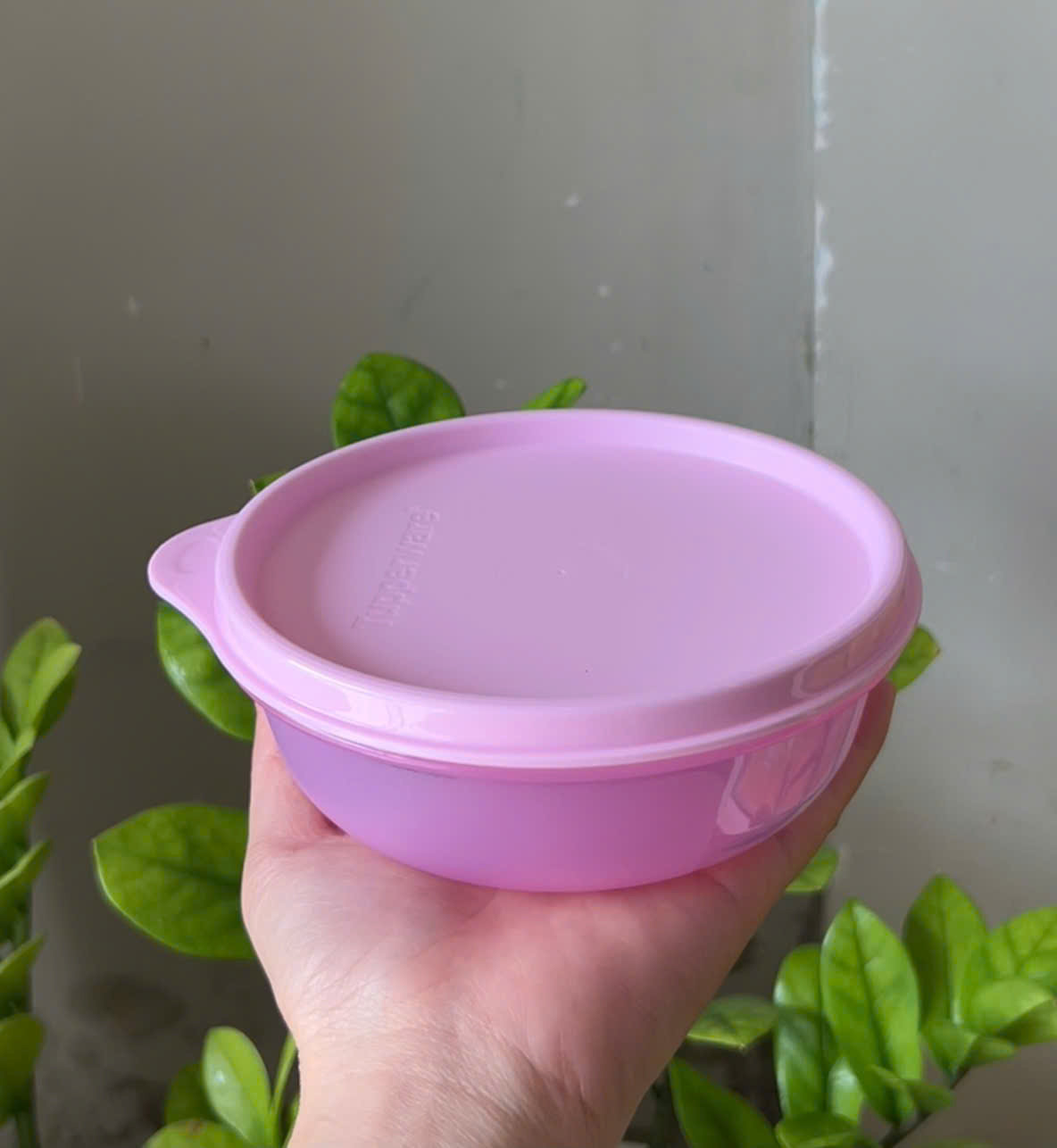 Hộp Mát Tupperware Round bowl 4 Màu 300ml (01 Hộp)