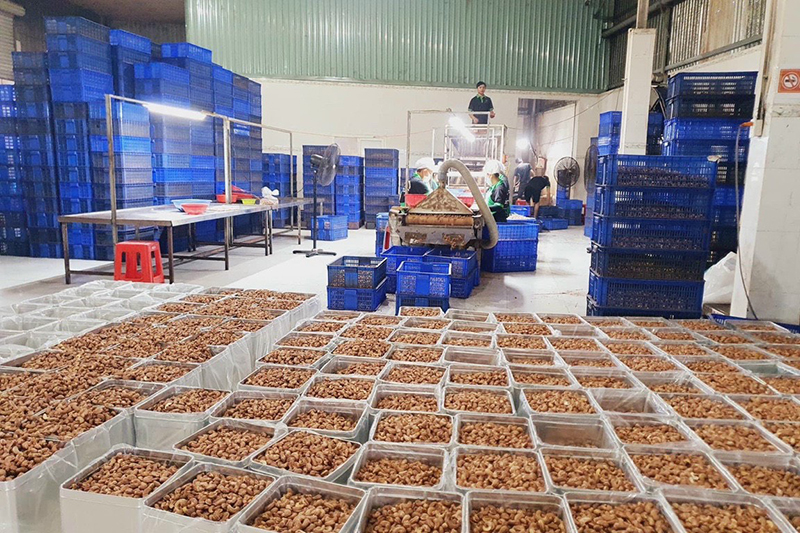 Granola là gì? Giá trị dinh dưỡng và cách ăn để giảm cân hiệu quả