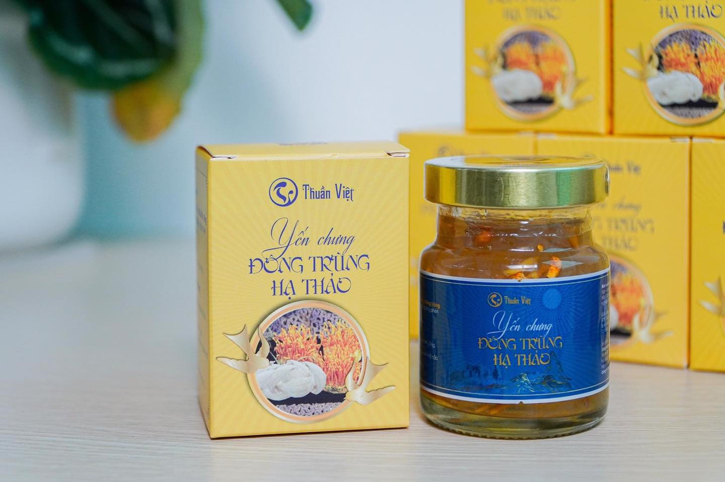 SỬ DỤNG YẾN CHƯNG ĐÔNG TRÙNG HẠ THẢO TĂNG SỨC ĐỀ KHÁNG CHỐNG COVID