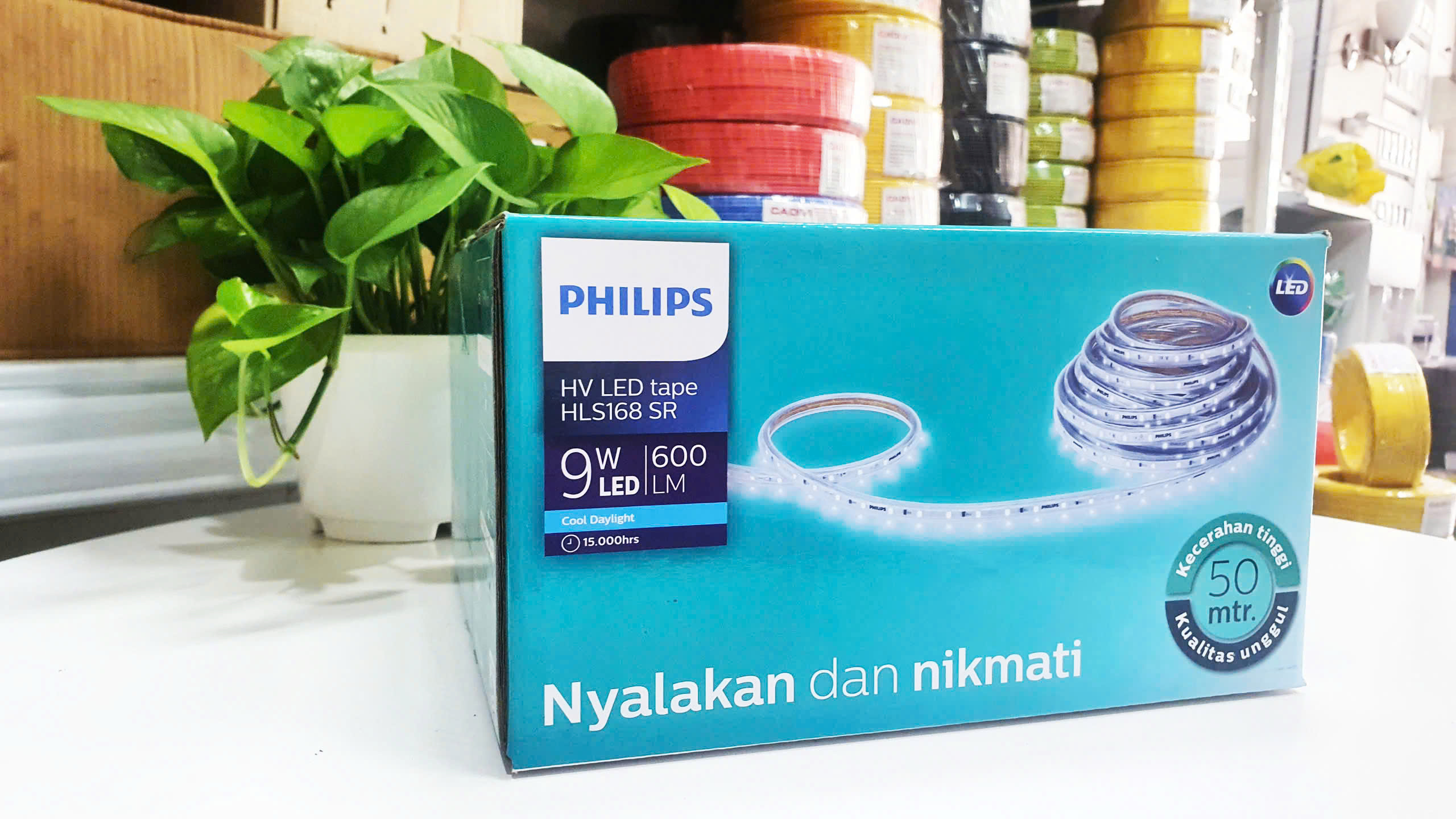 Đèn Chiếu Sáng Philips: Giải Pháp Chiếu Sáng Tối Ưu Cho Mọi Không Gian