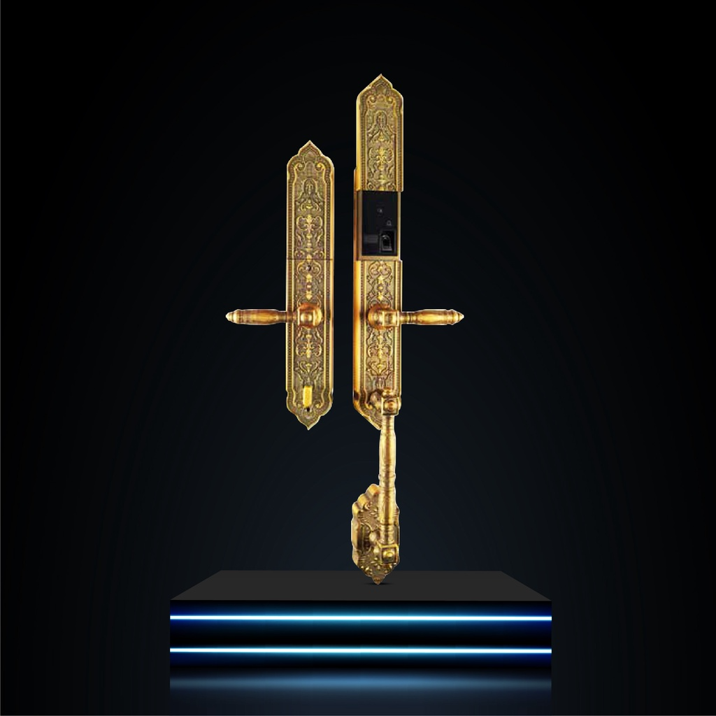 Khóa đại sảnh Faster FS 009 AC Khóa đại sảnh Faster FS 009 AC