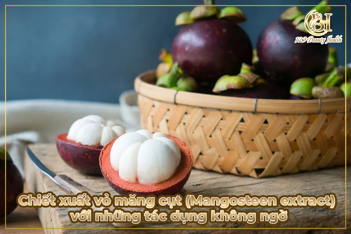 Chiết xuất vỏ măng cụt (Mangosteen extract) với những tác dụng không ngờ