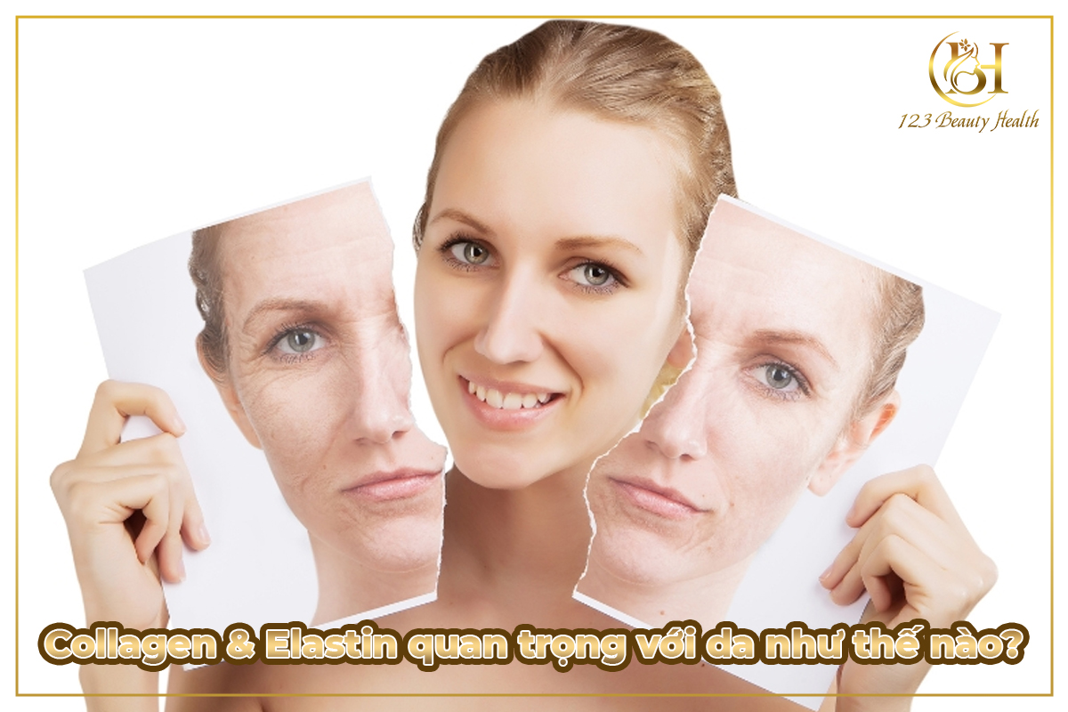 Collagen & Elastin quan trọng với da như thế nào?