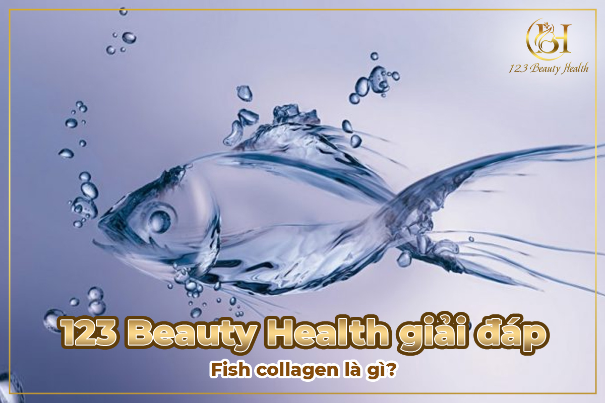 123 Beauty Health giải đáp: Fish collagen là gì?