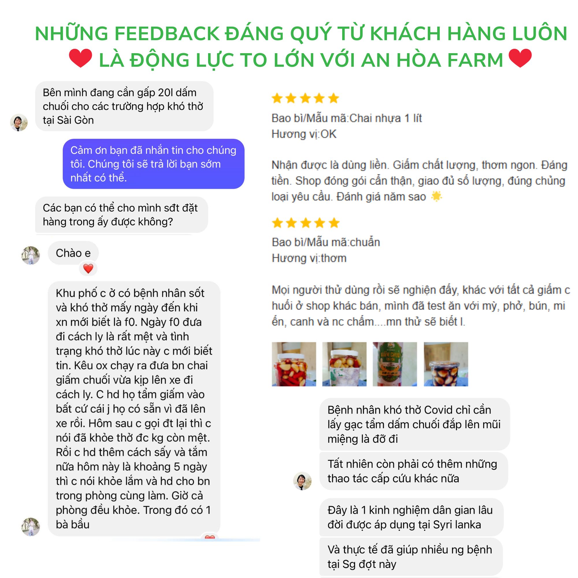 Giấm chuối nuôi từ giấm cái mẹ tự nhiên không hóa chất thương hiệu An Hòa Farm