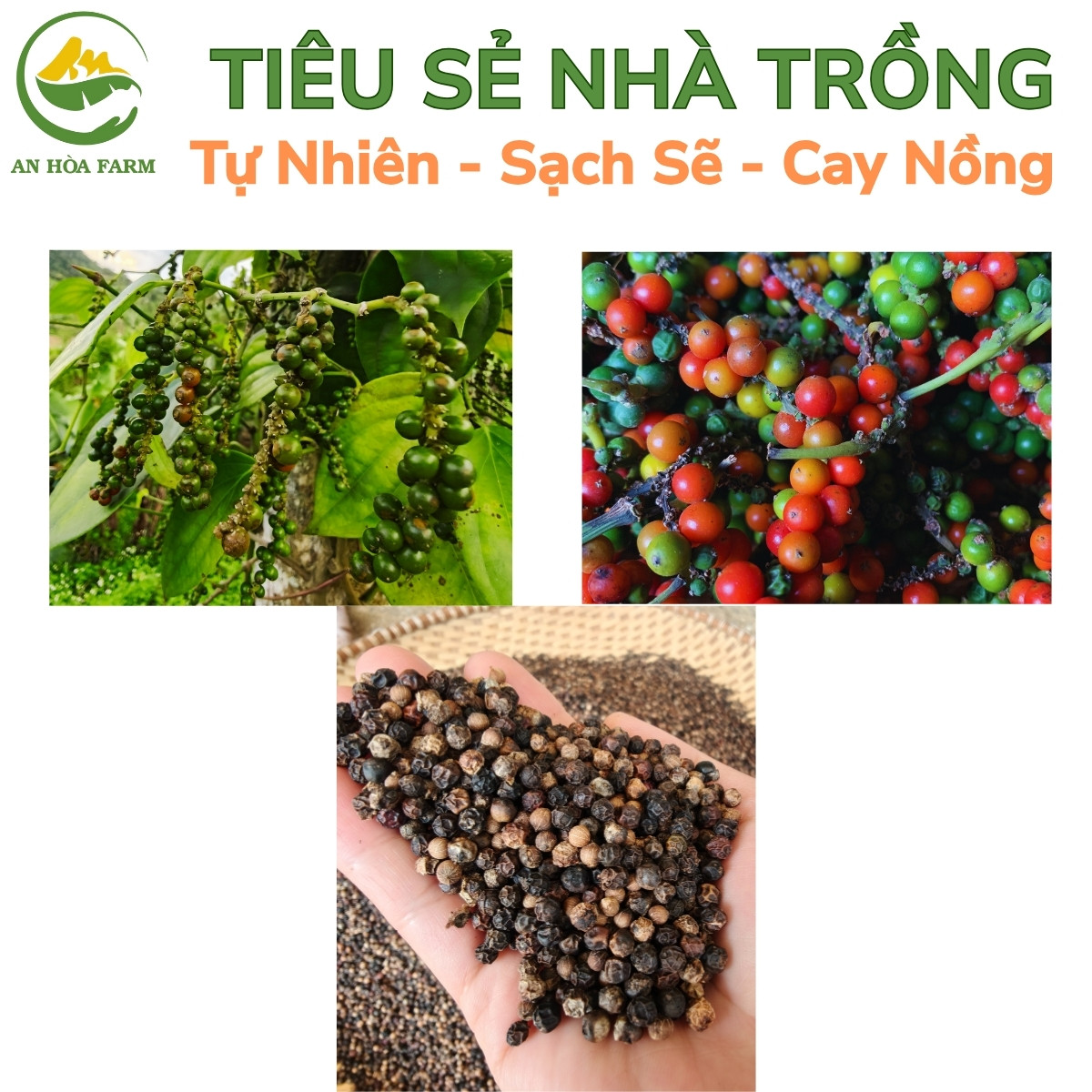Tiêu sẻ An Hòa trồng tự nhiên hương vị cay nồng thơm đậm thương hiệu An Hòa Farm