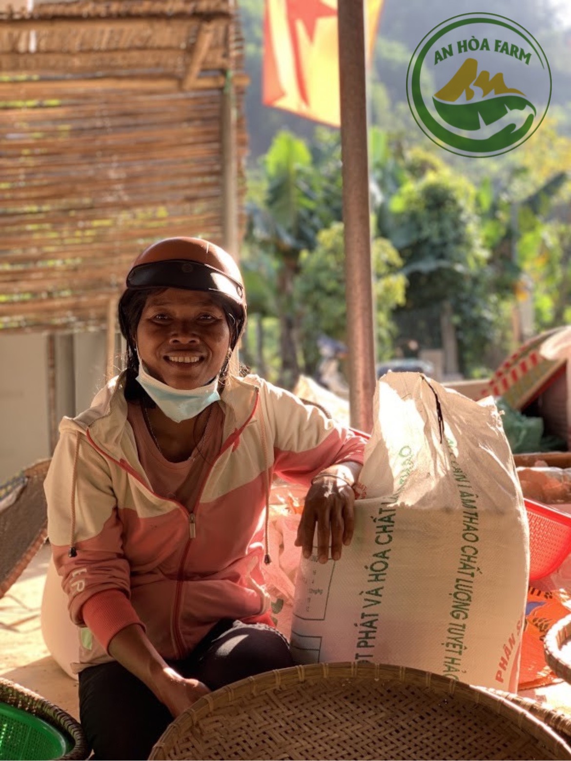 Xích tiểu đậu (đậu đỏ hạt nhỏ) trồng thuận tự nhiên giống thuần chủng thương hiệu An Hòa Farm