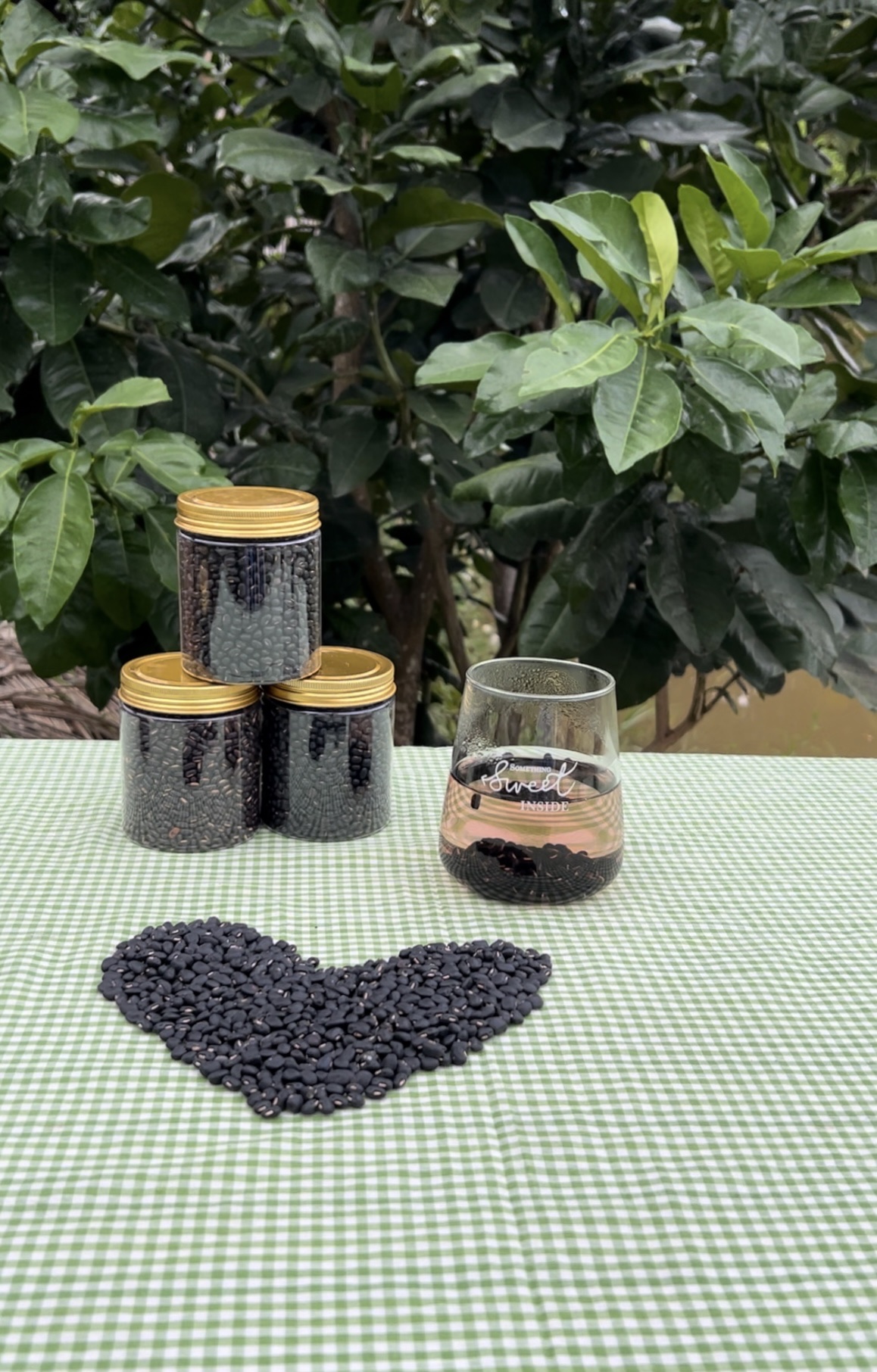 Trà Đậu Đen Xanh Lòng An Hòa rang củi mộc thủ công có hạ thổ HSD 12 tháng thương hiệu An Hòa Farm