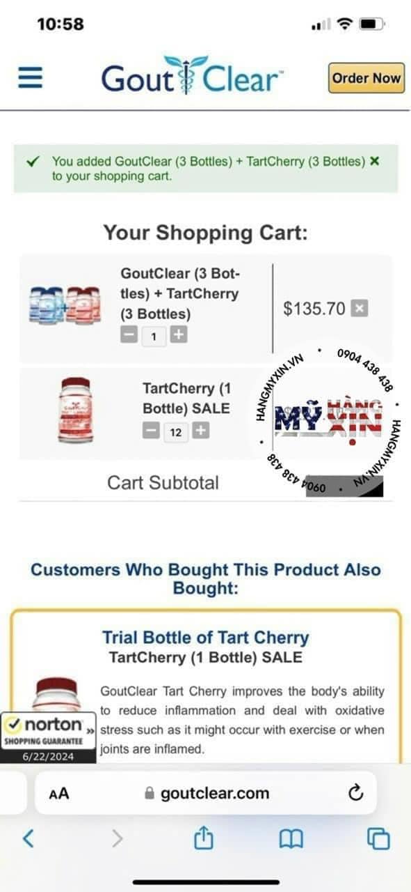 Viên uống hỗ trợ gout GOUT CLEAR-60 viên