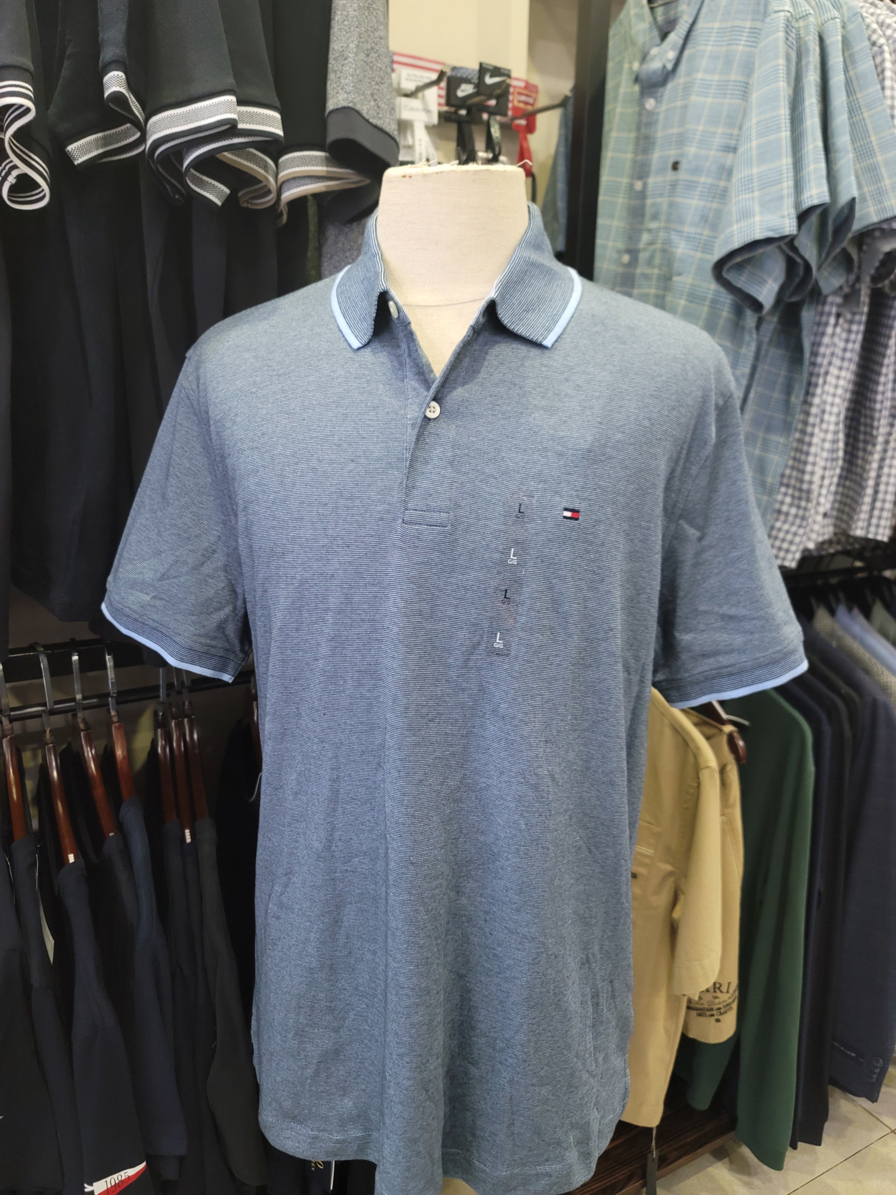 Polo Tommy Regular viền cổ xanh ngọc