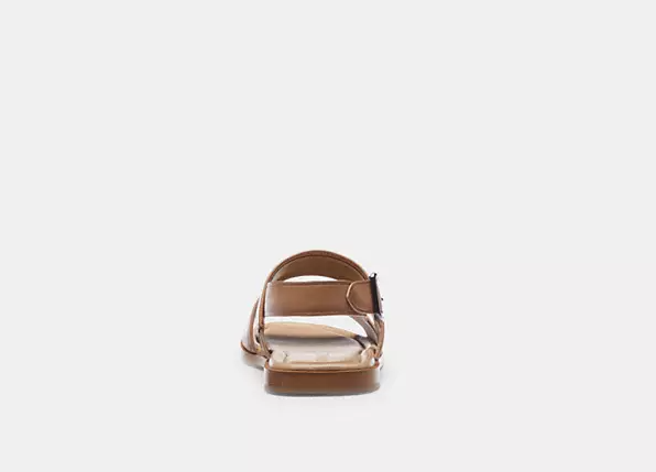 Sandal COACH Men's Julian Two Strap - Taupe