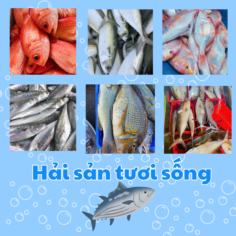 Hải sản tươi sống