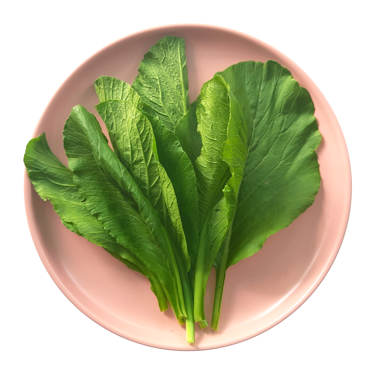 Cải Ngọt - Pinkspoon