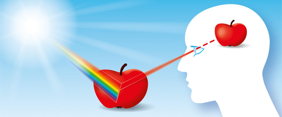 Knowlege Color BASIC KNOWLEDGE - COLOR