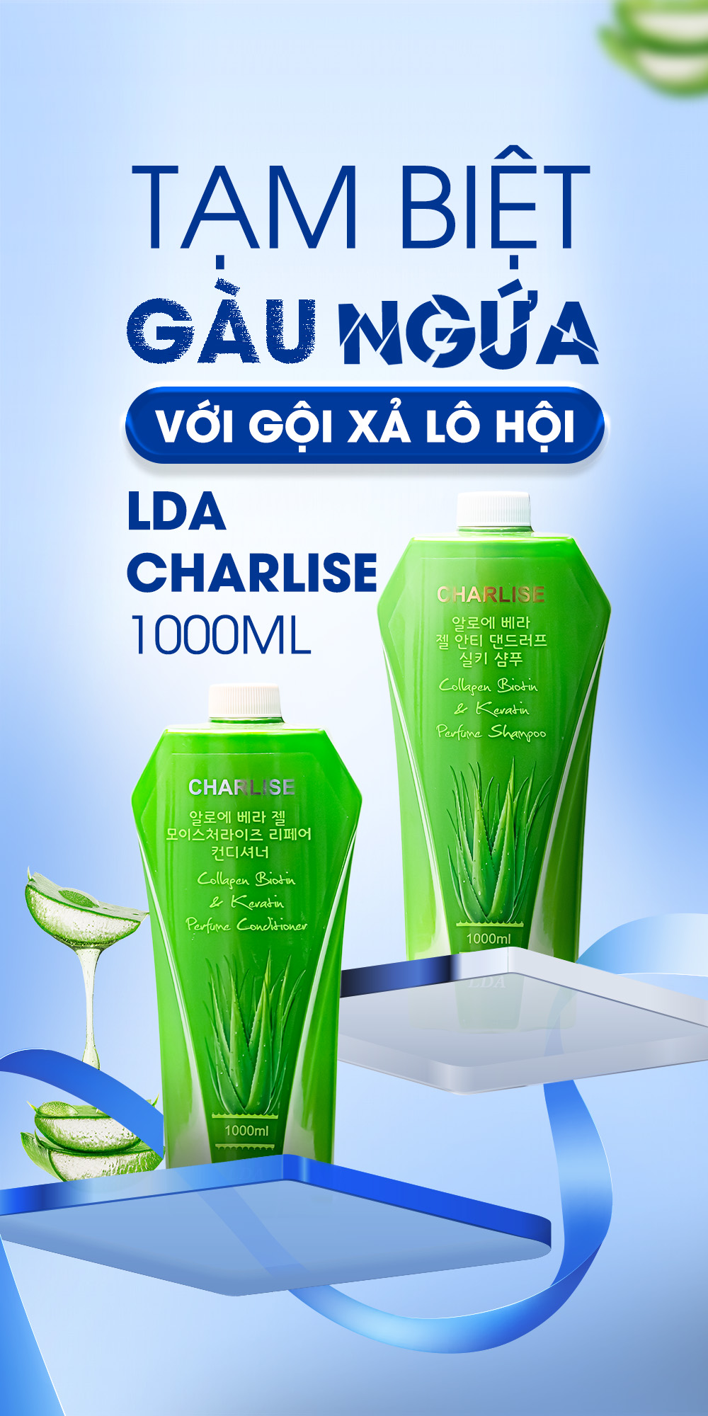 Lô Hội – Thành phần dịu nhẹ giúp cải thiện gàu và ngứa da đầu khi chuyển mùa