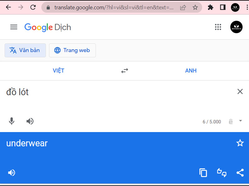 Hình ảnh dịch đồ lót sang tiếng anh của ứng dụng Google Translate