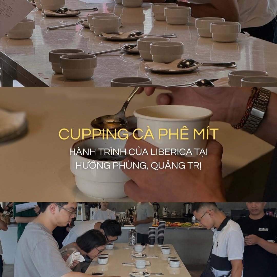 Recap event Cupping Cà phê mít, Quảng Trị 28/06/2026