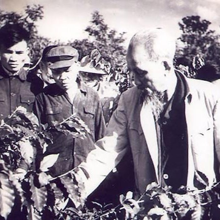 Đồn điền cà phê Phủ Quỳ (Nghệ An): Nơi khởi đầu của ngành cà phê thương mại Việt Nam