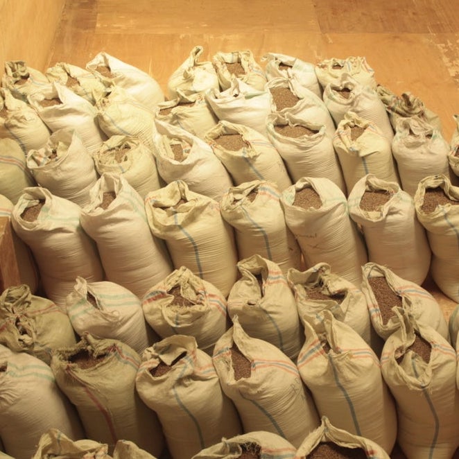Arabica tồn kho xuống gần mức thấp nhất kể từ 1999