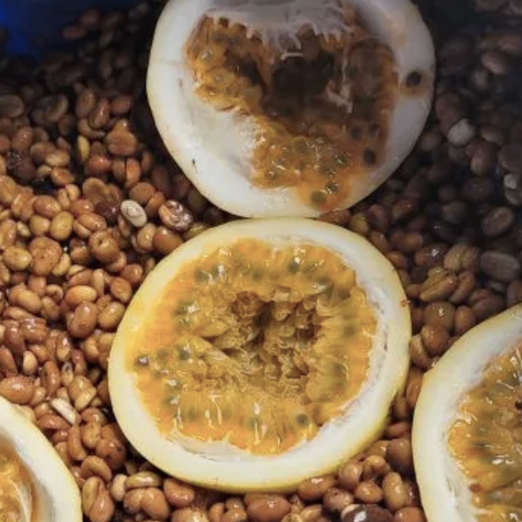 Co-Fermentation Trong Cà Phê Là Gì?