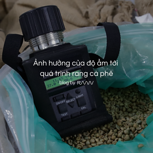 Ảnh hưởng của độ ẩm tới quá trình rang cà phê