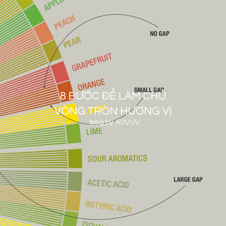 CÁCH ĐỂ SỬ DỤNG VÒNG TRÒN HƯƠNG VỊ CÀ PHÊ TRONG 8 BƯỚC