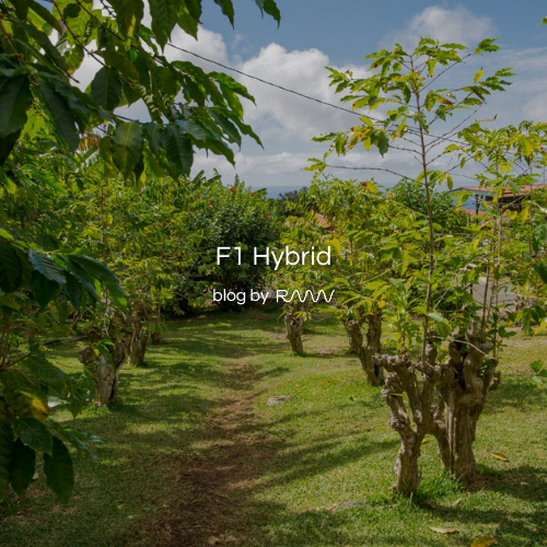 F1 Hybrid