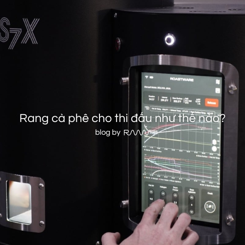 Rang cà phê cho thi đấu như thế nào?