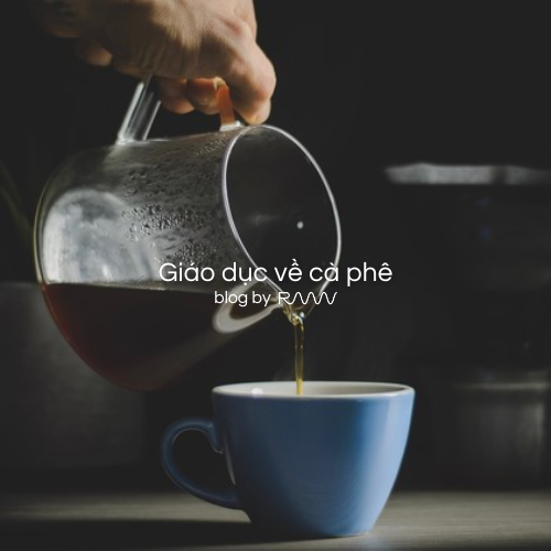 Giáo dục về cà phê