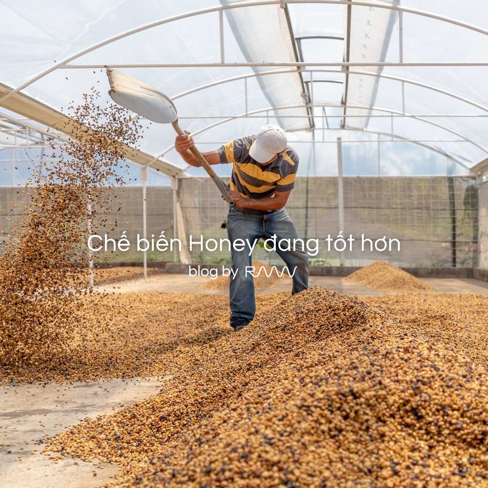 Chế biến Honey đang tốt hơn