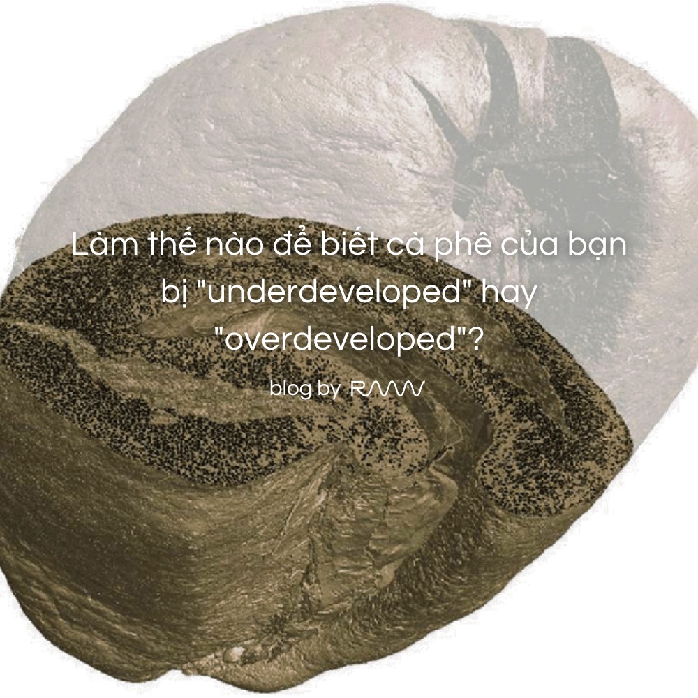 Làm thế nào để biết cà phê của bạn bị underdeveloped hay overdeveloped?