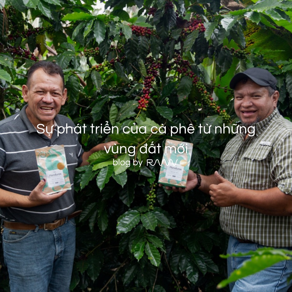 Sự phát triển của cà phê từ những vùng đất mới
