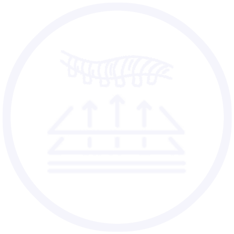 policy 