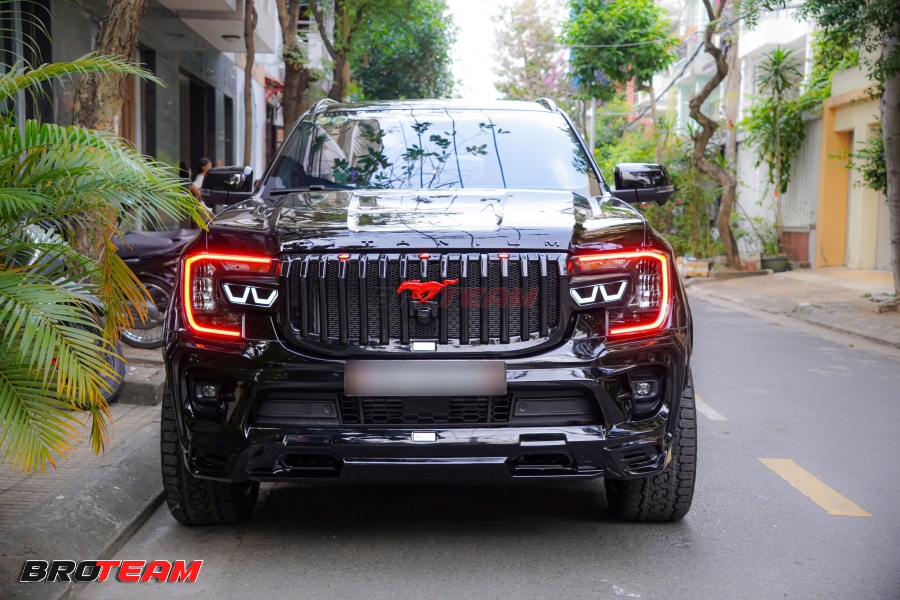 Đèn mí LED đỏ chữ C F150