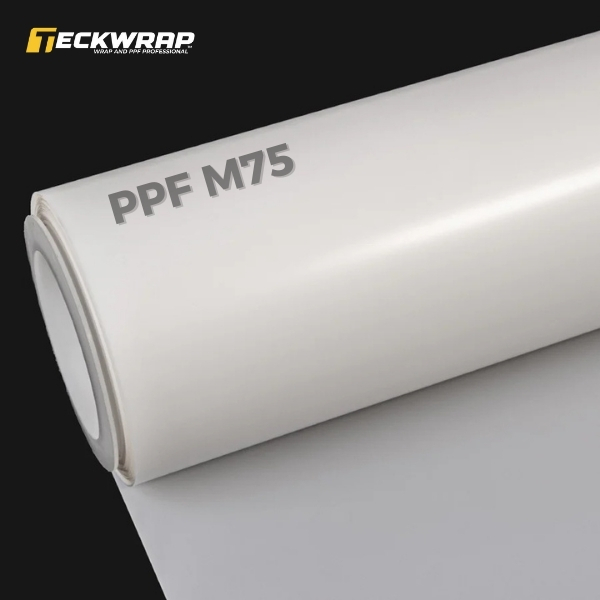 Dán PPF TeckWrap M75 Mờ Cho Ford Everest