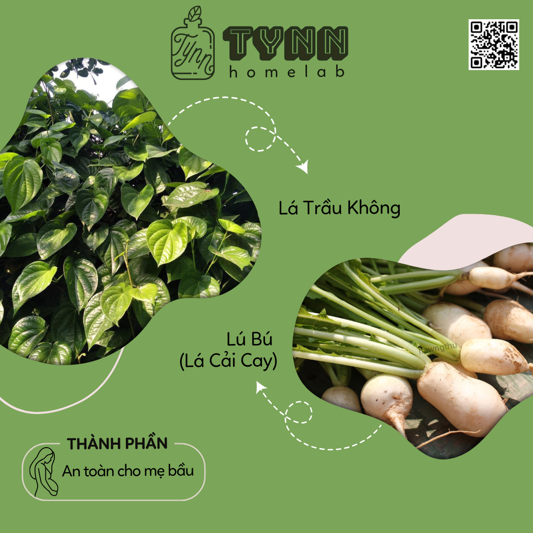 Lá Ngâm Dưỡng Sinh