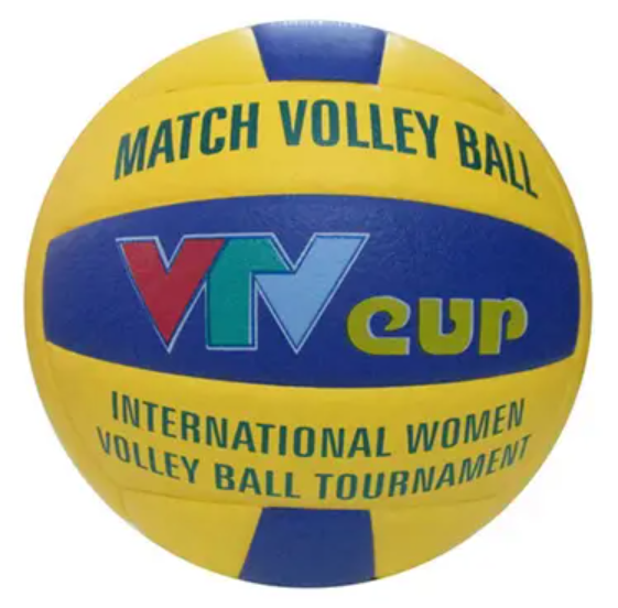 Bóng chuyền Geru VTV Cup