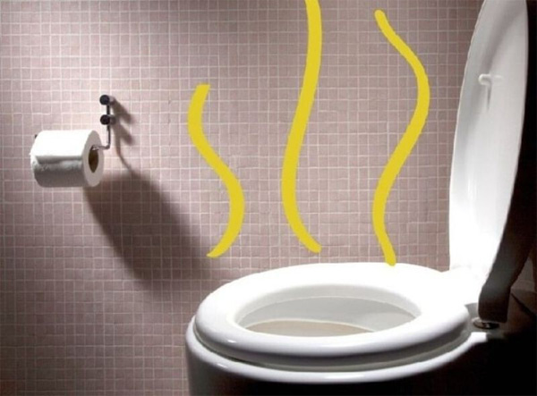Nguyên nhân và cách khắc phục bồn cầu có mùi hôi
