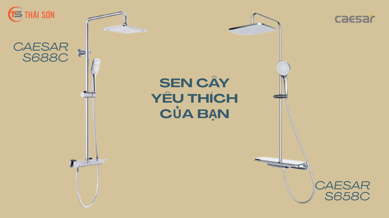 Sự Lựa Chọn Tinh Tế Cho Không Gian Sống Với Sen Cây Caesar S688C và S658C