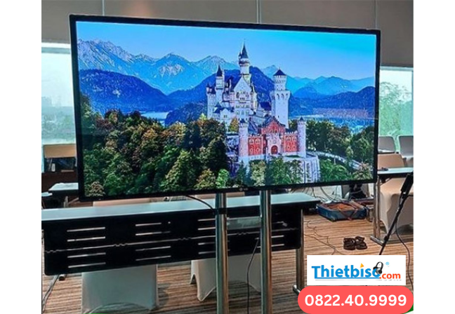 thuê tivi hà nội