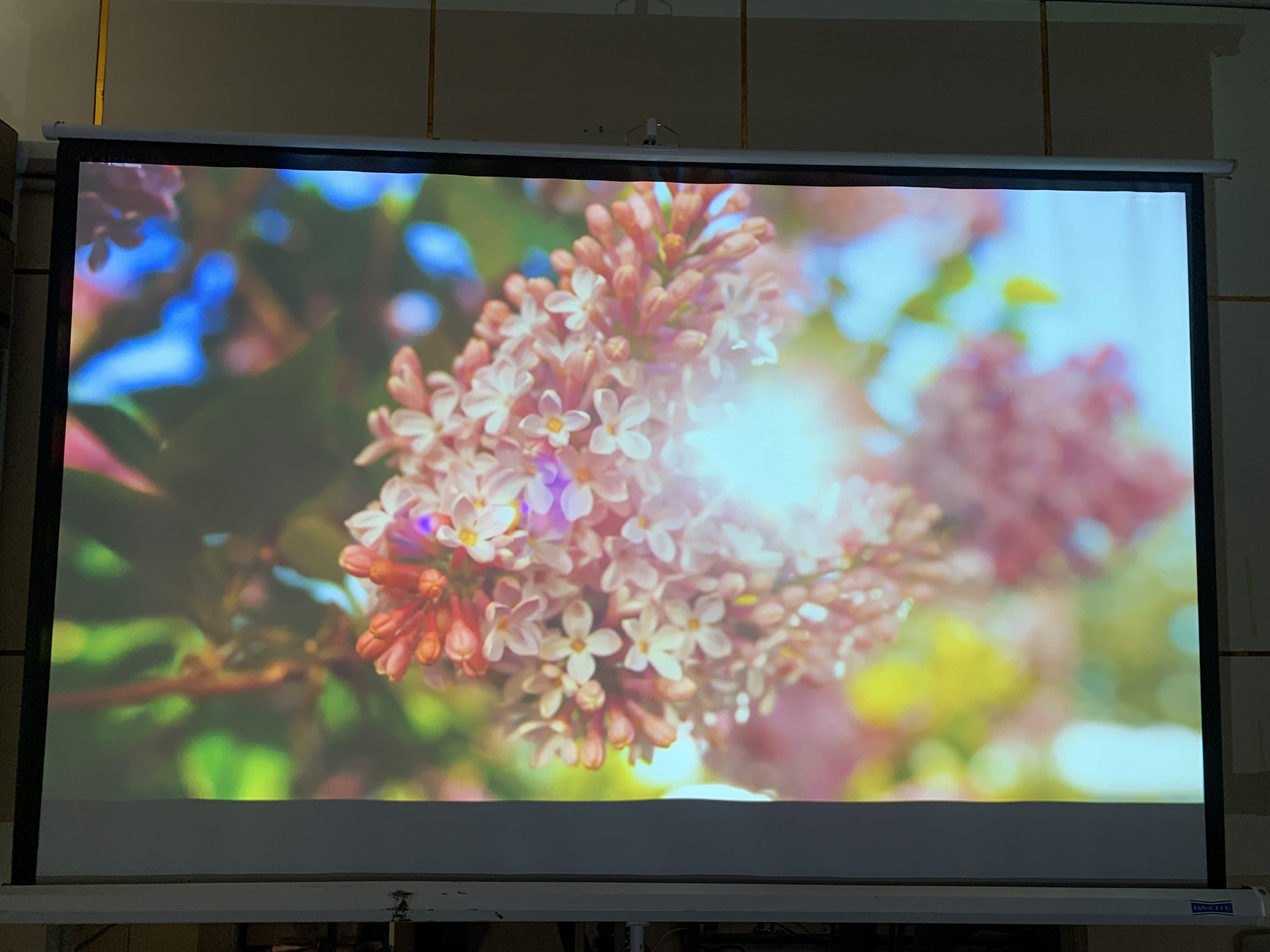 Máy Chiếu Cũ EPSON EB-535WT
