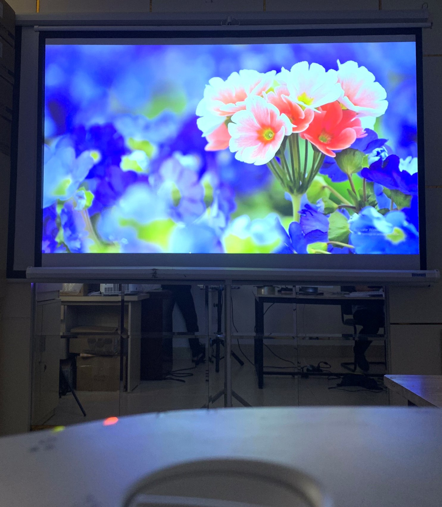 Máy Chiếu cũ  EPSON EB-G5650W