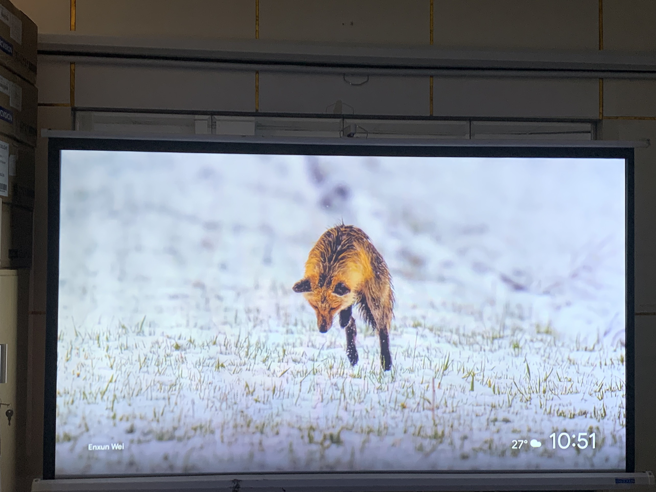 Máy chiếu cũ PANASONIC PT-LB423