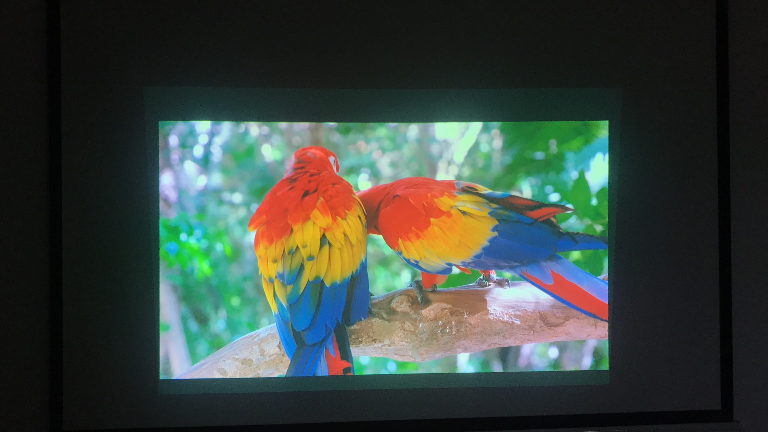 Máy chiếu Panasonic PT-LW373 giá rẻ