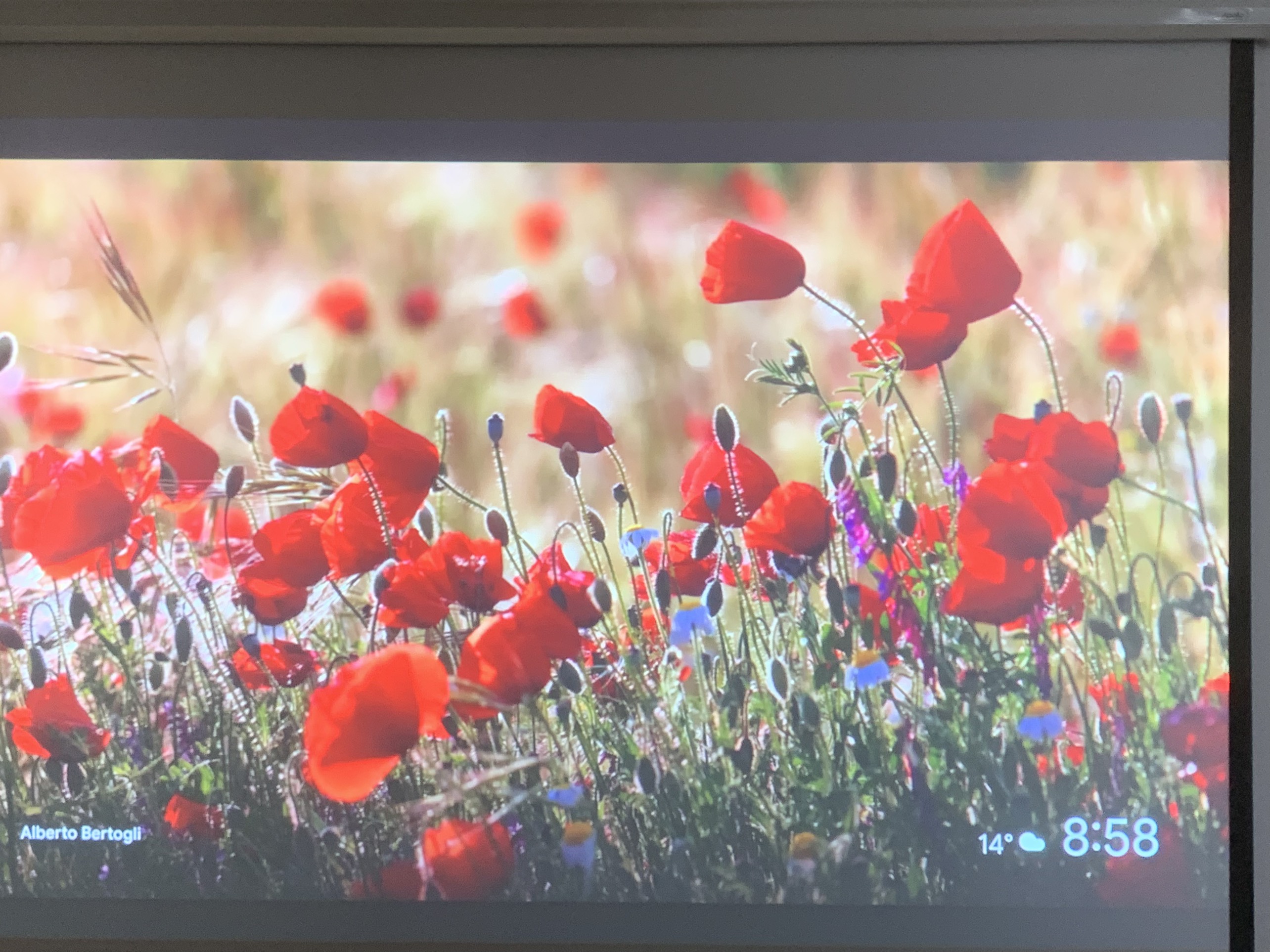 Máy chiếu cũ EPSON EB-960W